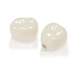 Second Primary Molar Crowns Professional Kit