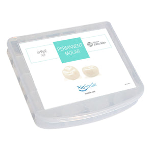 Permanent Molar Crowns Starter Kit