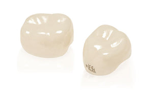 2nd Primary Molar Crowns