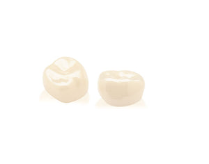 Permanent Molar Crowns Professional Kit